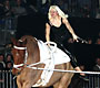 Hingstekring Herning 2006