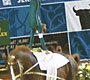 Jerez 2002